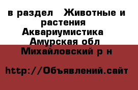  в раздел : Животные и растения » Аквариумистика . Амурская обл.,Михайловский р-н